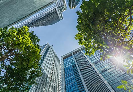 Building and trees